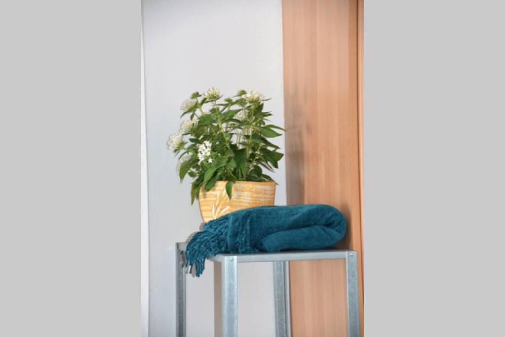 Apartamento B2 - The Cozy One Egio Exterior foto